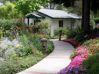 cambria pines lodge