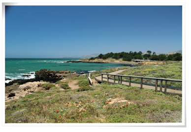 Moonstone Beach