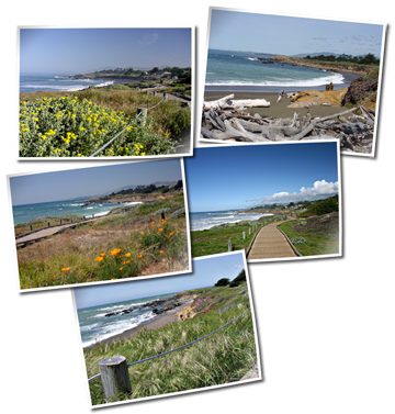 moonstone beach cambria