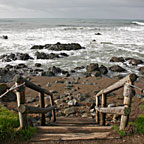 steps