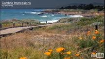 cambria impressions by nancy mckarney