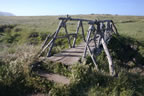 cambria