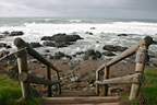 cambria